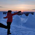 Huikonen * Syöte