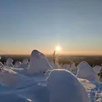 Huikonen * Syöte