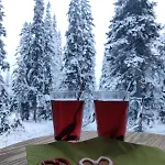 Huikonen Syöte
