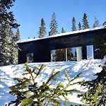 Huikonen Dağ evi *