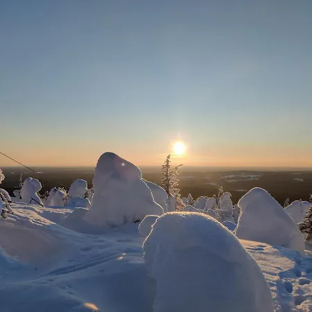 Huikonen * Syöte