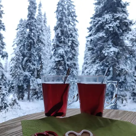 Huikonen Syöte