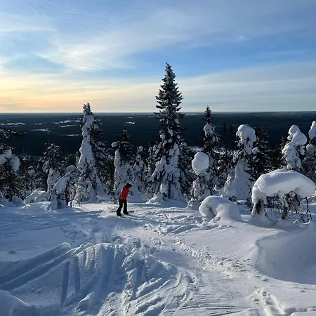 Alpstuga Huikonen *