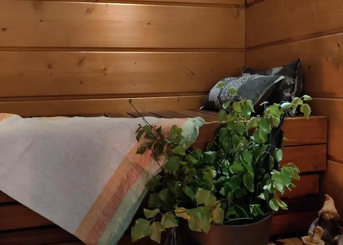 Huikonen Шале Сиоте