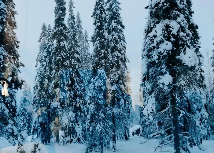 Huikonen Шале Сиоте